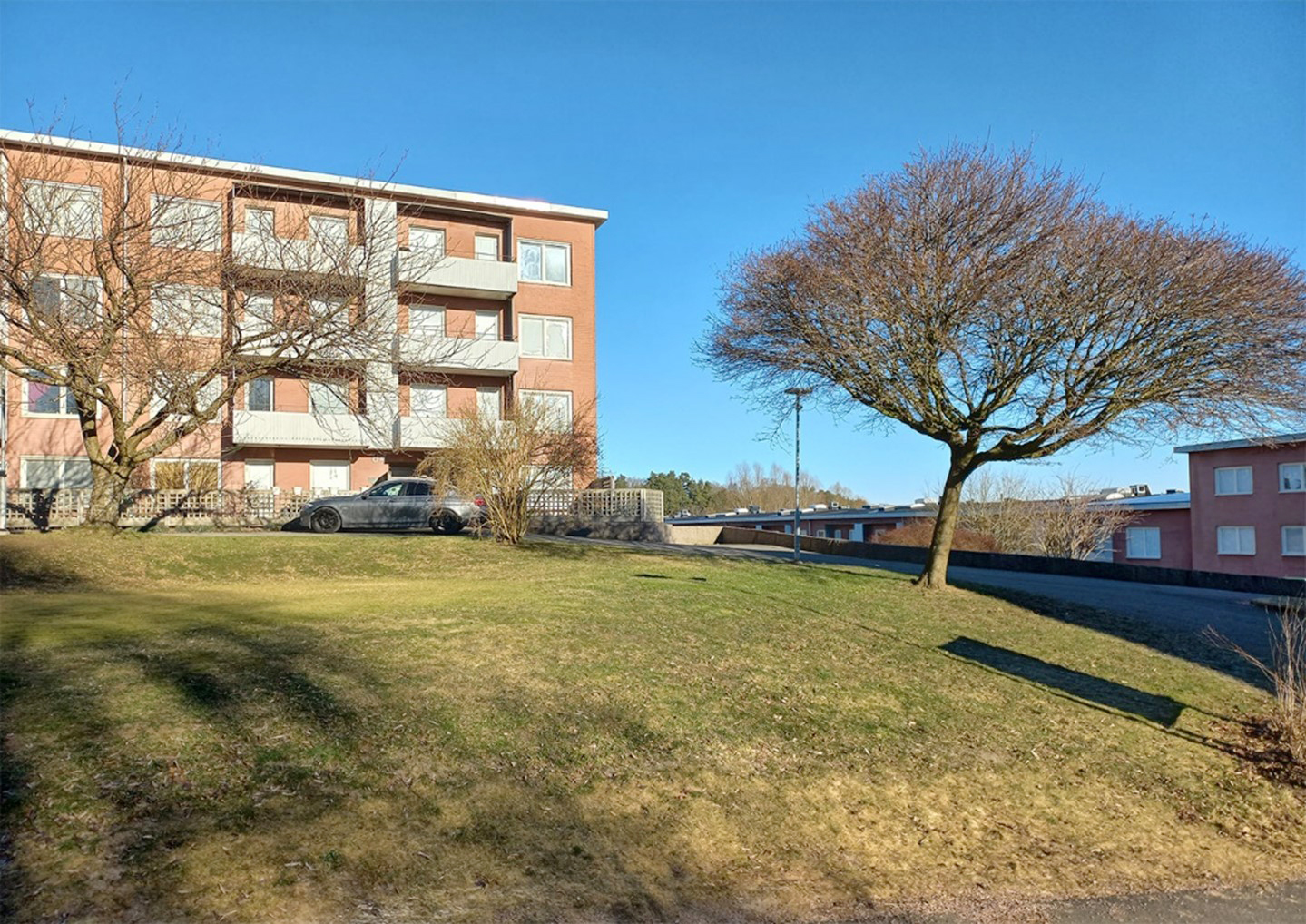 En gräsmatta med två träd i ett bostadsområde med hyreshus.