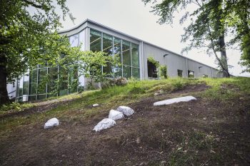 “Dreamers – Glacial Bodies” av Chiara Bugatti